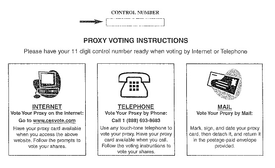 Voting Information